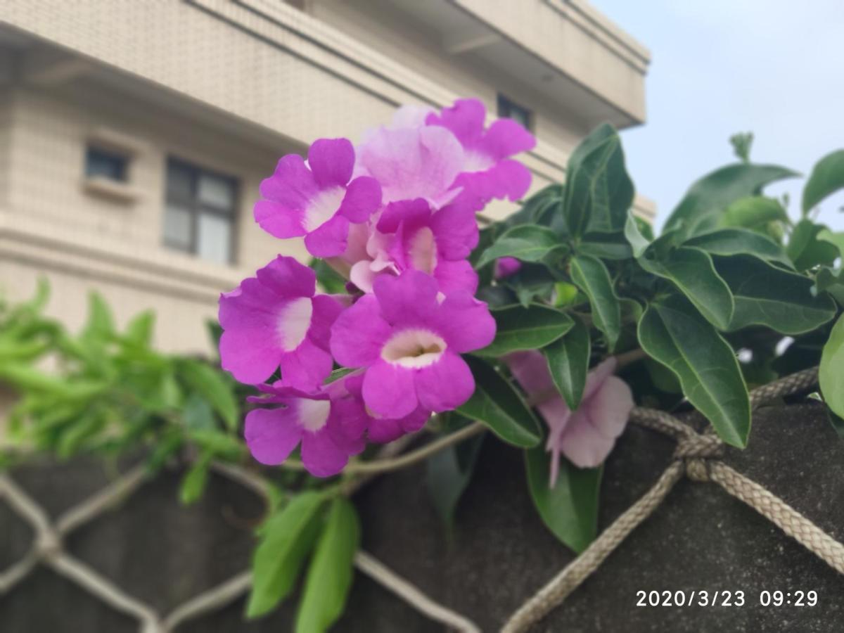 Lucao 嘉義泊岸居民宿 מראה חיצוני תמונה